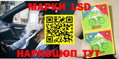 мет Кингисепп