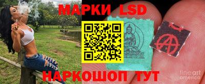 гидра Кинель