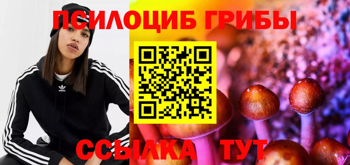 Ярцево  Галлюциногенные грибы ЛСД  Вход с VPN 