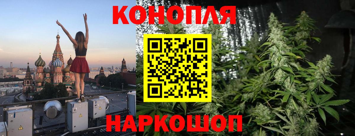 Конопля Bruce Banner  Вход с VPN  Канабис семена  Шишки марихуана ГИДРОПОН  Ярцево 